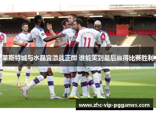 莱斯特城与水晶宫激战正酣 谁能笑到最后赢得比赛胜利 莱斯特城与水晶宫激战正酣 谁能笑到最后赢得比赛胜利