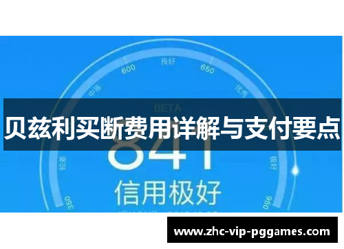 贝兹利买断费用详解与支付要点