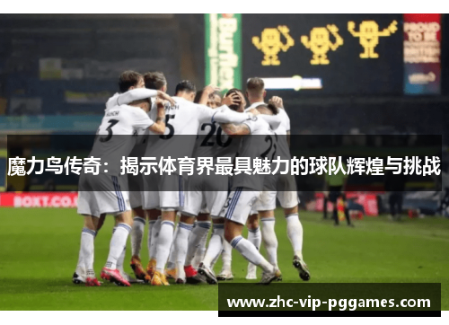 魔力鸟传奇：揭示体育界最具魅力的球队辉煌与挑战